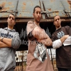 Dam da arabian mc s